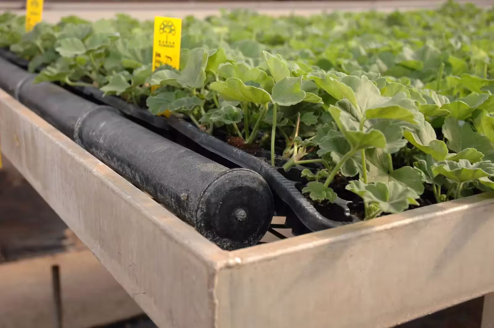 Agricultural & Aquacultural Heating